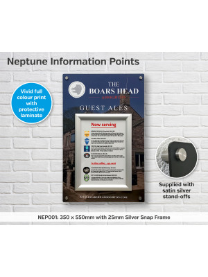 Neptune Information Points