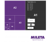 mileta size chart