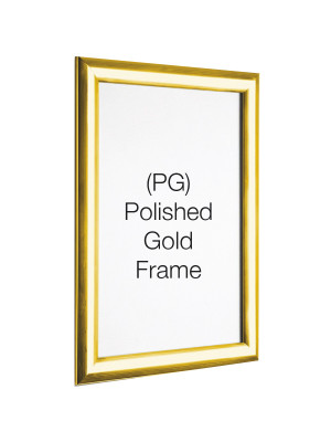 POLISHED GOLD 25mm Profile Snap Poster Frames