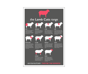 Lamb Prime Cuts Laminated Poster