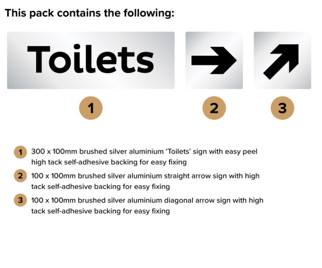 DS131 Silver Toilet Directional