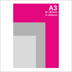 Strut Sizes A3