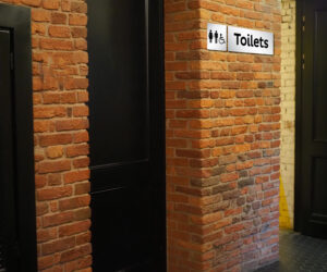 Small Silver Toilet Directional